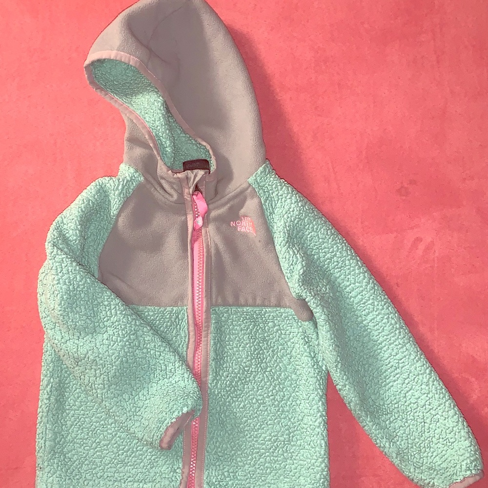 Toddler Northface Fleece Jacket